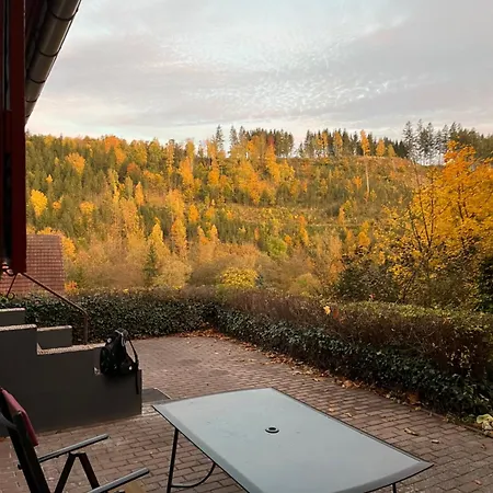 Talblick, Im Luftkurort Finsterbergen