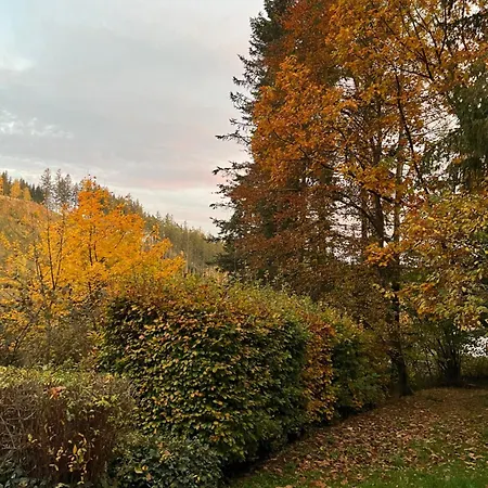 Talblick, Im Luftkurort Finsterbergen Nyaraló *