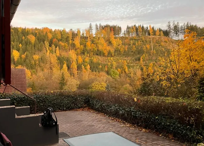 Talblick, Im Luftkurort Finsterbergen