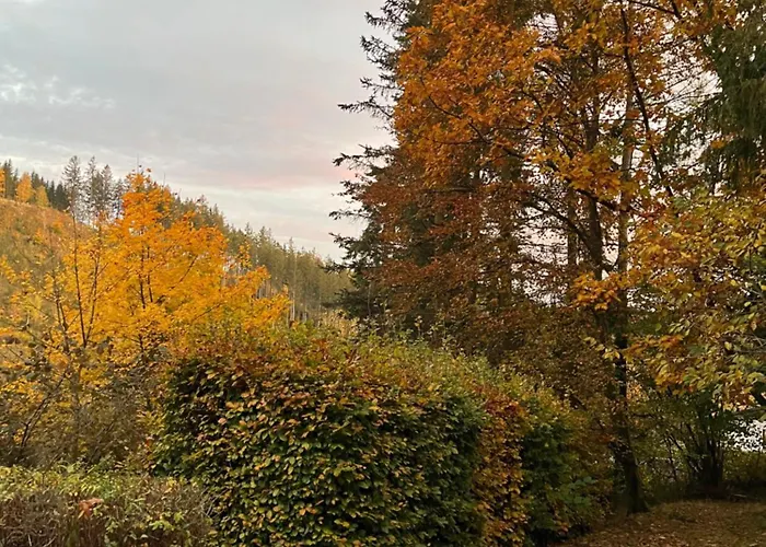 Talblick, Im Luftkurort Finsterbergen Tatil Evi *