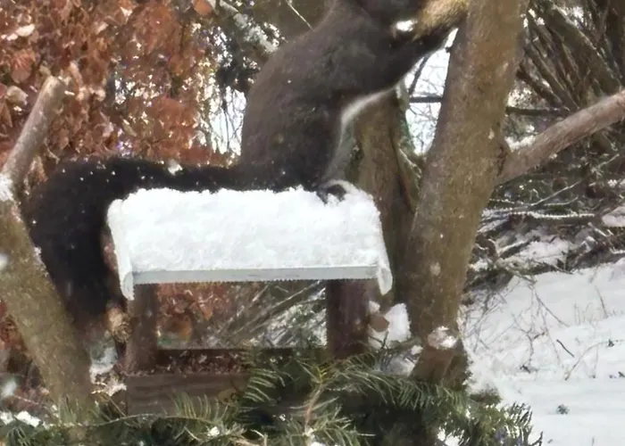 펜션 Talblick, Im Luftkurort Finsterbergen